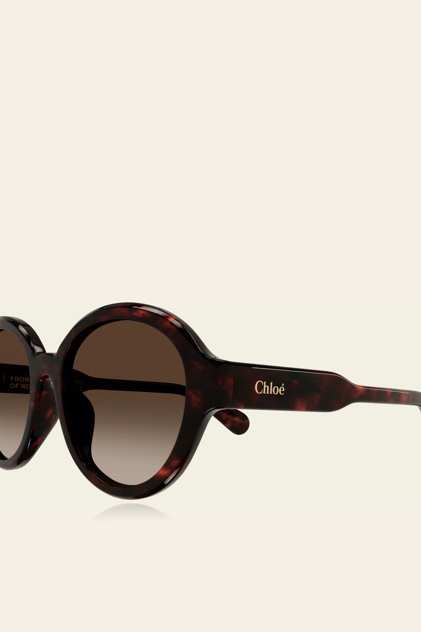 Chloé Sunglasses | Dark Havana