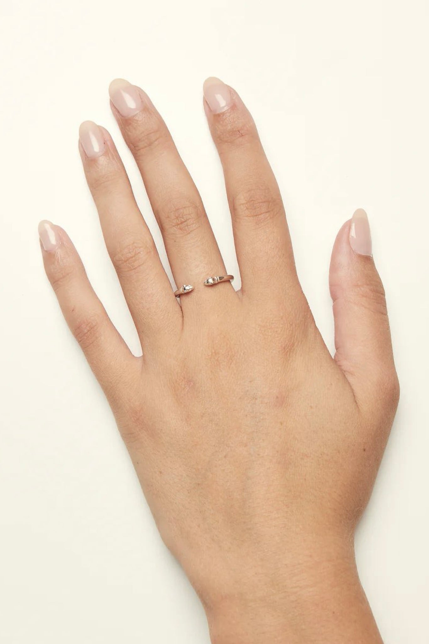 Lionnes en argent | Bague