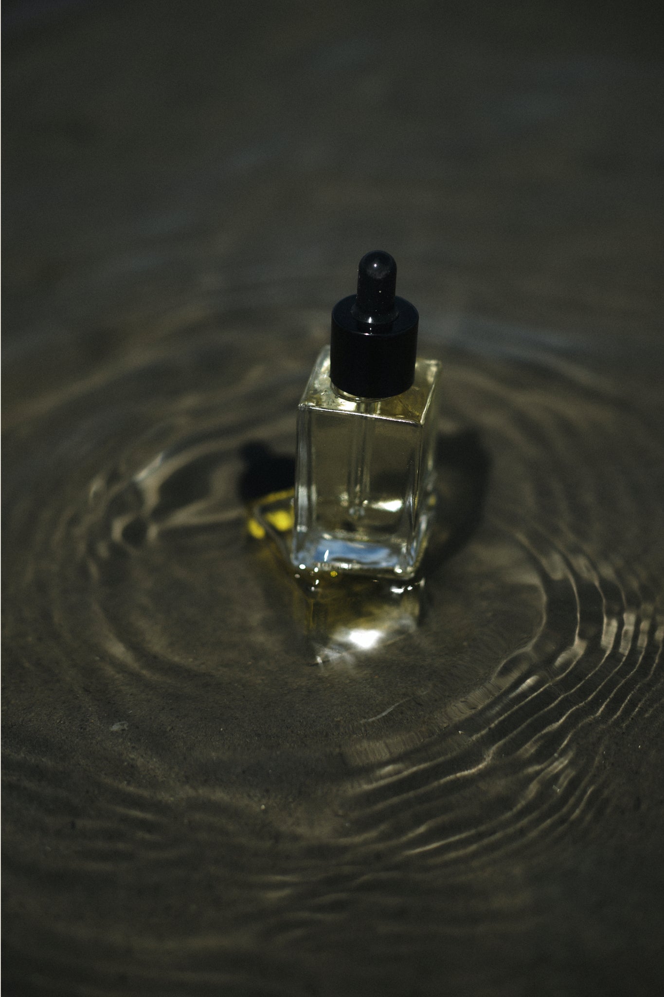 Shave Oil | 40 ml