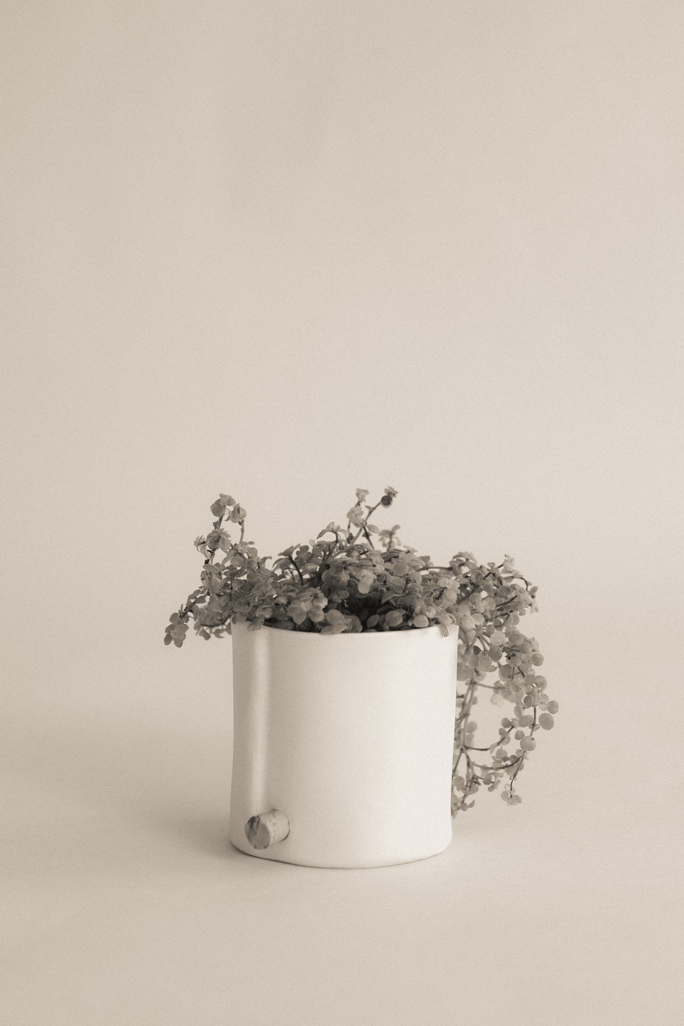 Bon Temps_Mini Planter | Plain White